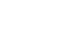 THE ARTIST HERSELF | L'ARTISTE ELLE-MÉME