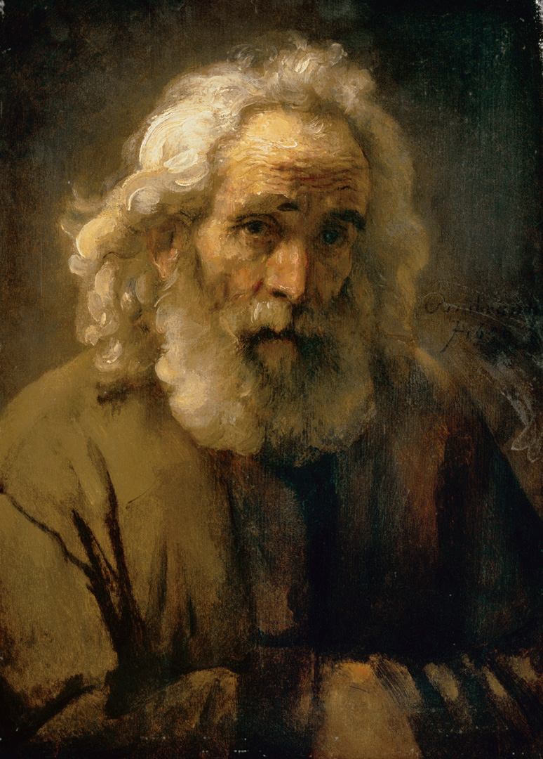 Head of an Old Man with Curly Hair - Agnes Etherington Art Centre Agnes
