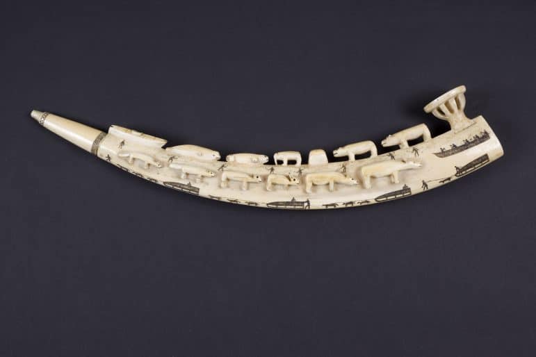 Unknown Iñupiaq Artist, Alaska, Pipe, collected 1895–1898, ivory and pigment. The Constantine Collection, gift of Agnes Etherington, 1929 (M69-023). Photo: Bernard Clark