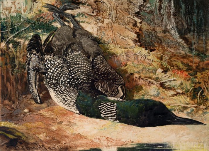 Daniel Fowler, Loon, 1881, watercolour on paper. Gift of Ernest C. Gill, 1966 (09-042)