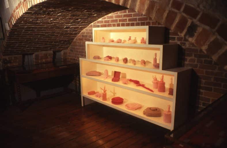 Installation view, Barbara Hunt, antipersonnel (1998–2001), at Royal Military College of Canada Museum, as part of Museopathy, 2001