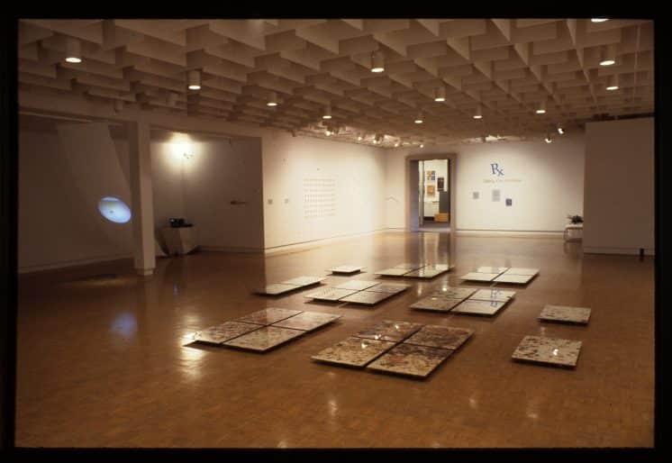 Installation view, Rx: Taking Our Medicine, 1995