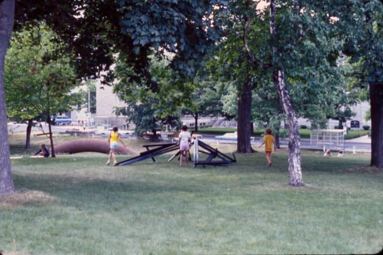 Installation view, Edward Zelenak, Untitled (undated) and David Pickering, Thicket (1978), in Sculpture out of Doors, 1978