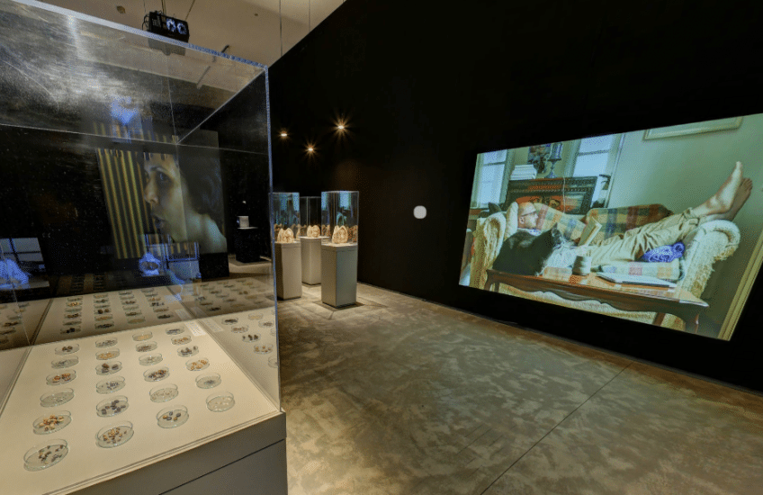 Virtual tour view of the exhibition The Golden USB: Richard Ibghy and Marilou Lemmens
