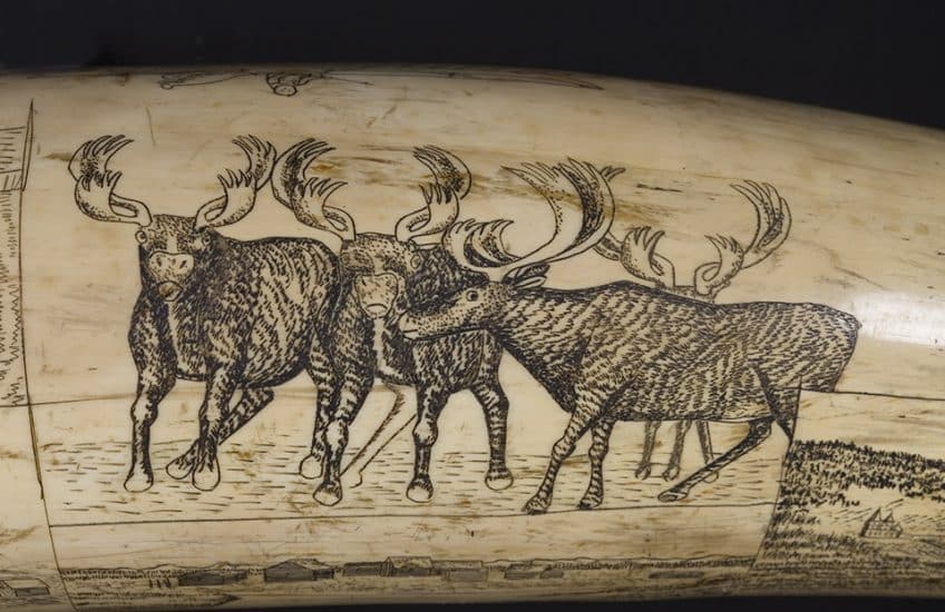 Guy Kakarook and Joe Austin (attributed), Engraved Mammoth Tusk, (detail), around 1896, ivory and pigment. Agnes Etherington Art Centre, Queen’s University, The Constantine Collection, Gift of Agnes Etherington, 1929 (M70-017)