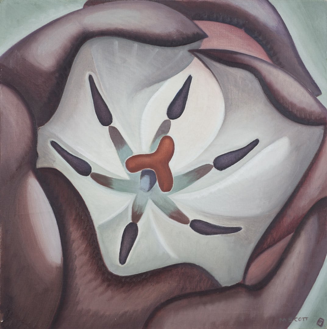 Marian Dale Scott, Tulip, around 1939, oil on linen. Purchase, Chancellor Richardson Memorial Fund and Donald Murray Shepherd Bequest Fund, 2012 (55-016)