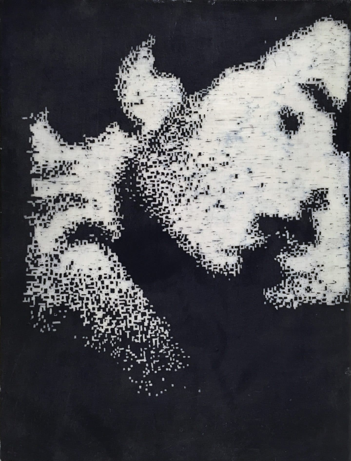 Stephen Andrews, Quick, 1992, encaustic, pigment and ink on canvas. Gift of Herbert O. Bunt, 1996 (39-052)