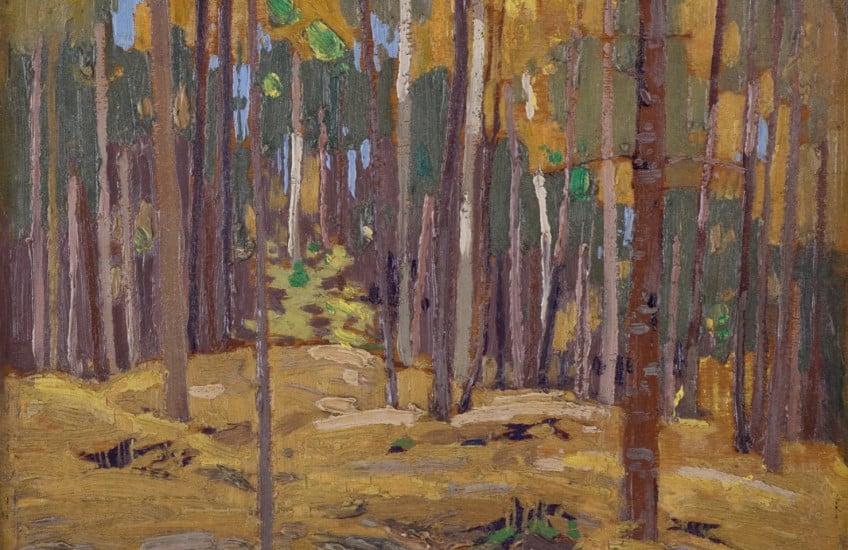 Tom Thomson, Autumn Woods, 1916, oil on wood panel. Gift of Margaret Botterell in memory of Dr Harry Botterell, 1998