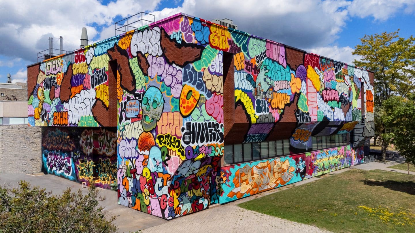 View of Transformations, a site-specific commission by artists Oriah Scott, EronOne, HONE, HUNGR, AJ Little, Emily May Rose and guest graffiti artists from across the Montreal-Toronto corridor. Photo: Paul Litherland