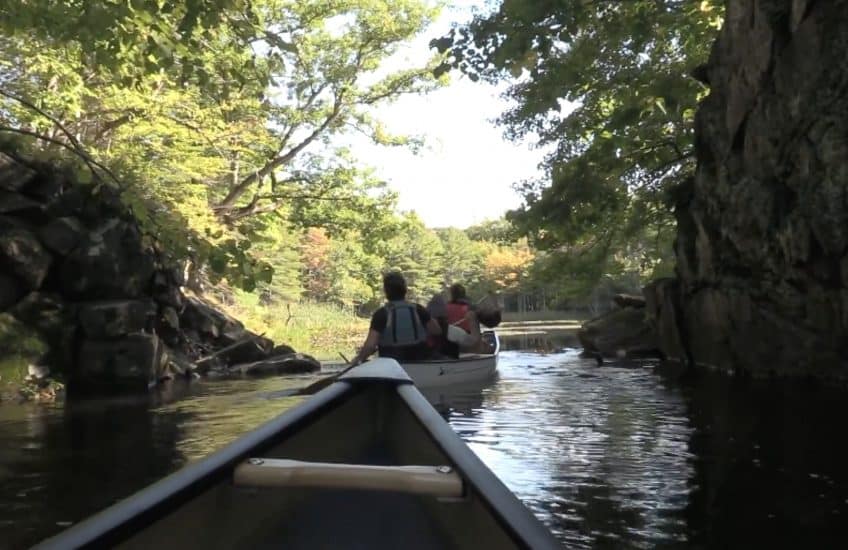 Members of the group paddle between Opinicon Lake and Hart Lake. Video stills: Andrei Pora