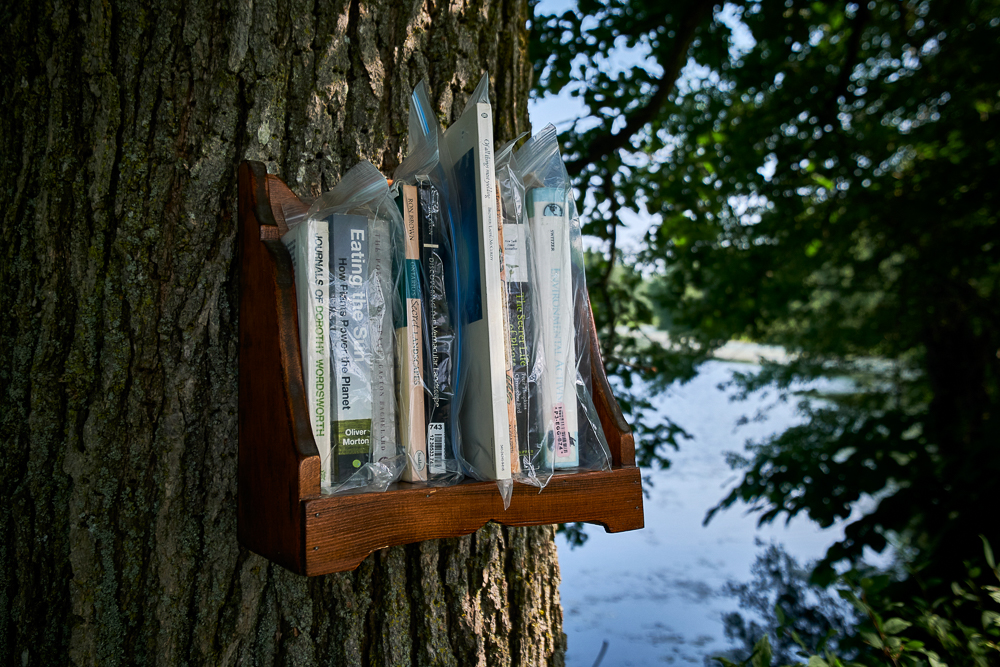 Jill Price,We Are Forest, 2023 reclaimed wood desk, wood chair, wood bookshelf, books about trees, wood pencils, and seed paper postcards