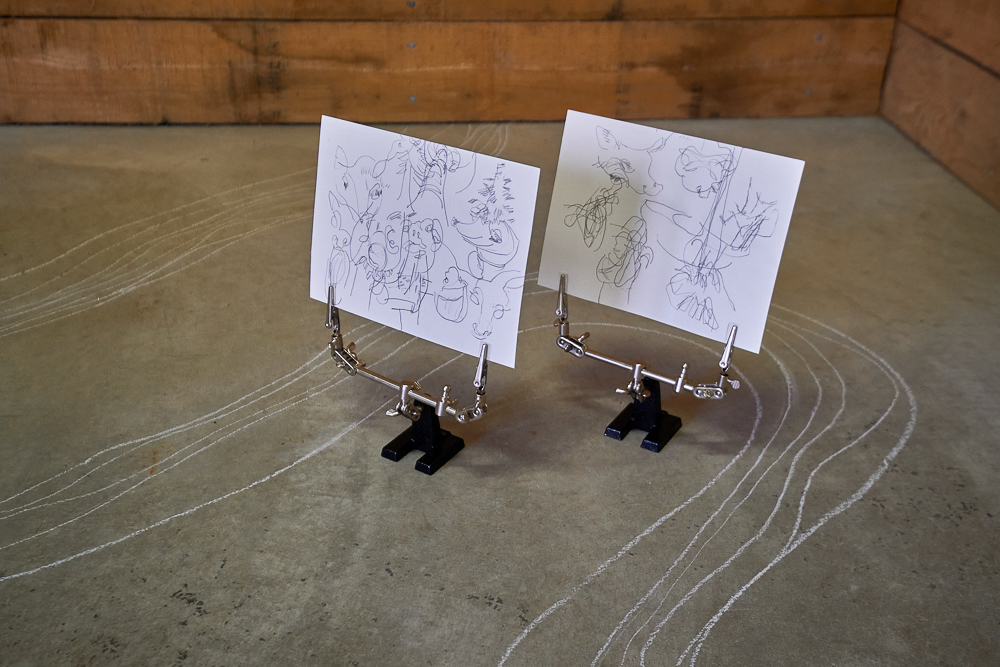 Elvira Hufschmid, The Eyes of the Land, 2023, drawing installation, graphite on paper, chalk, mounts