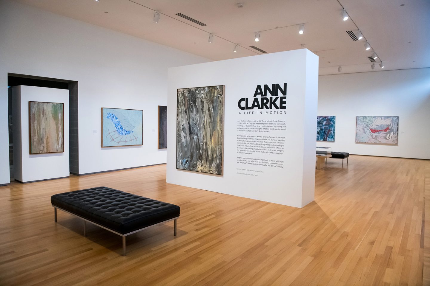 Installation view of Ann Clarke: A Life in Motion. Photo: Garrett Elliott