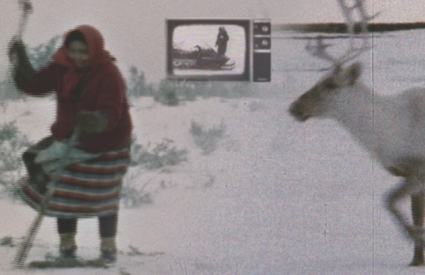 Jennifer Dysart, Still from Caribou in the Archive, 2019, 8:04. Courtesy of the artist.