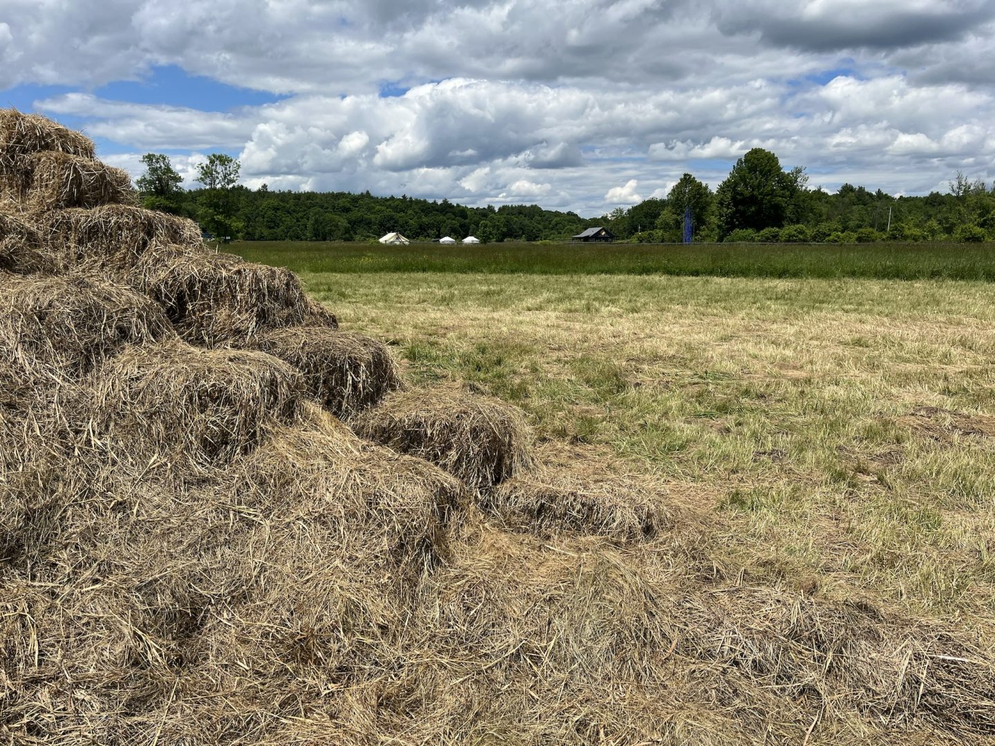 Sculpture made of hay in the foreground, sunny field and cloudy sky in background
