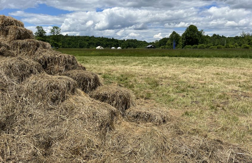 Sculpted straw bales in a field with clouds overhead