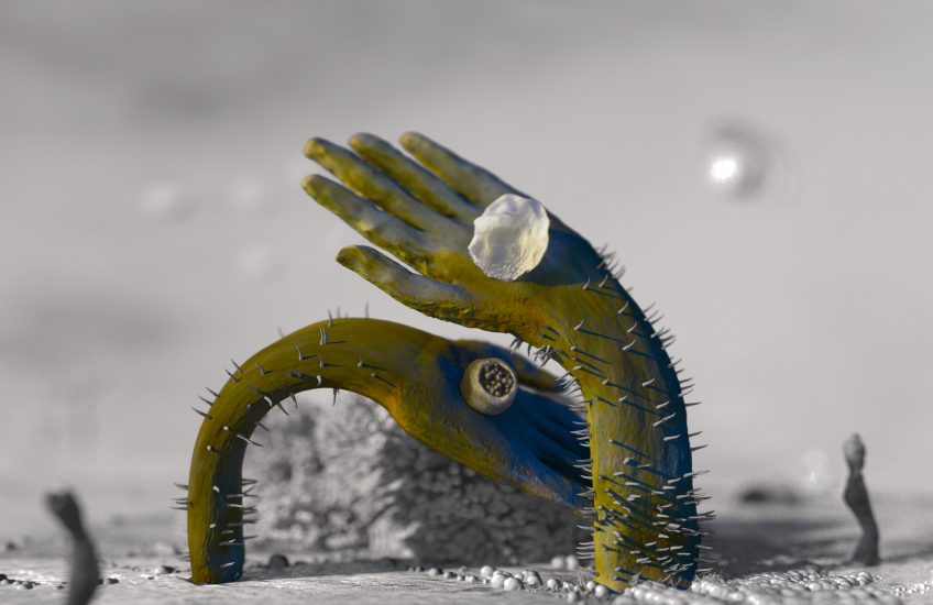 sculpture of small hand reaching and curving out of the ground.